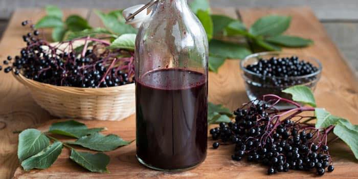 Elderberry